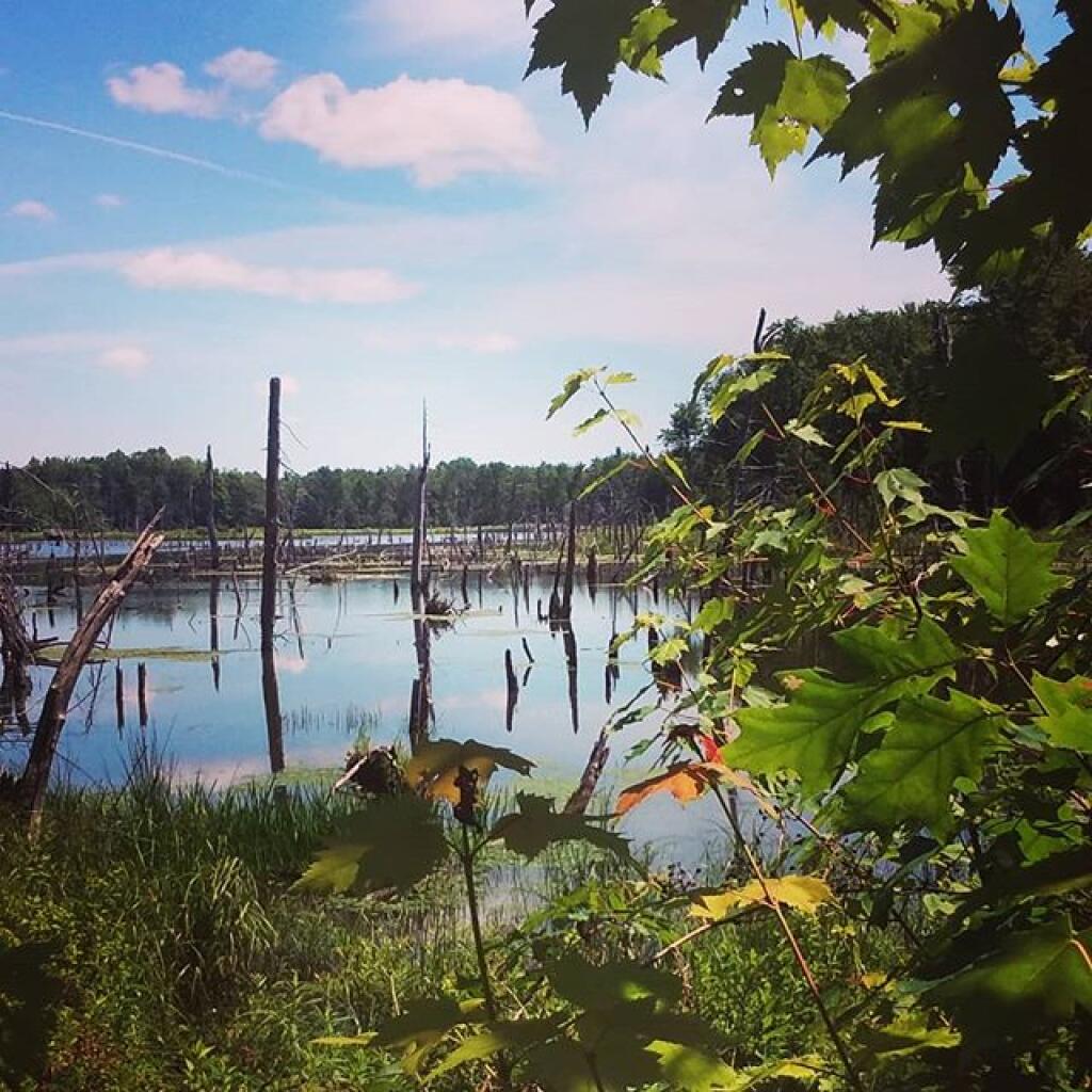 Photo: View from the nature trail