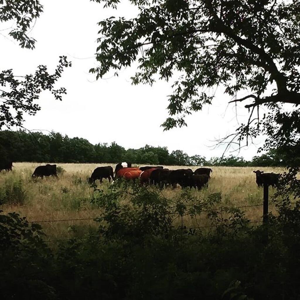 Photo: Visitors across the road