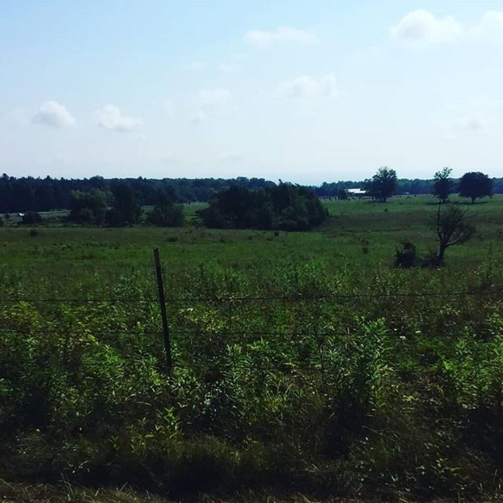 Photo: Beautiful morning!