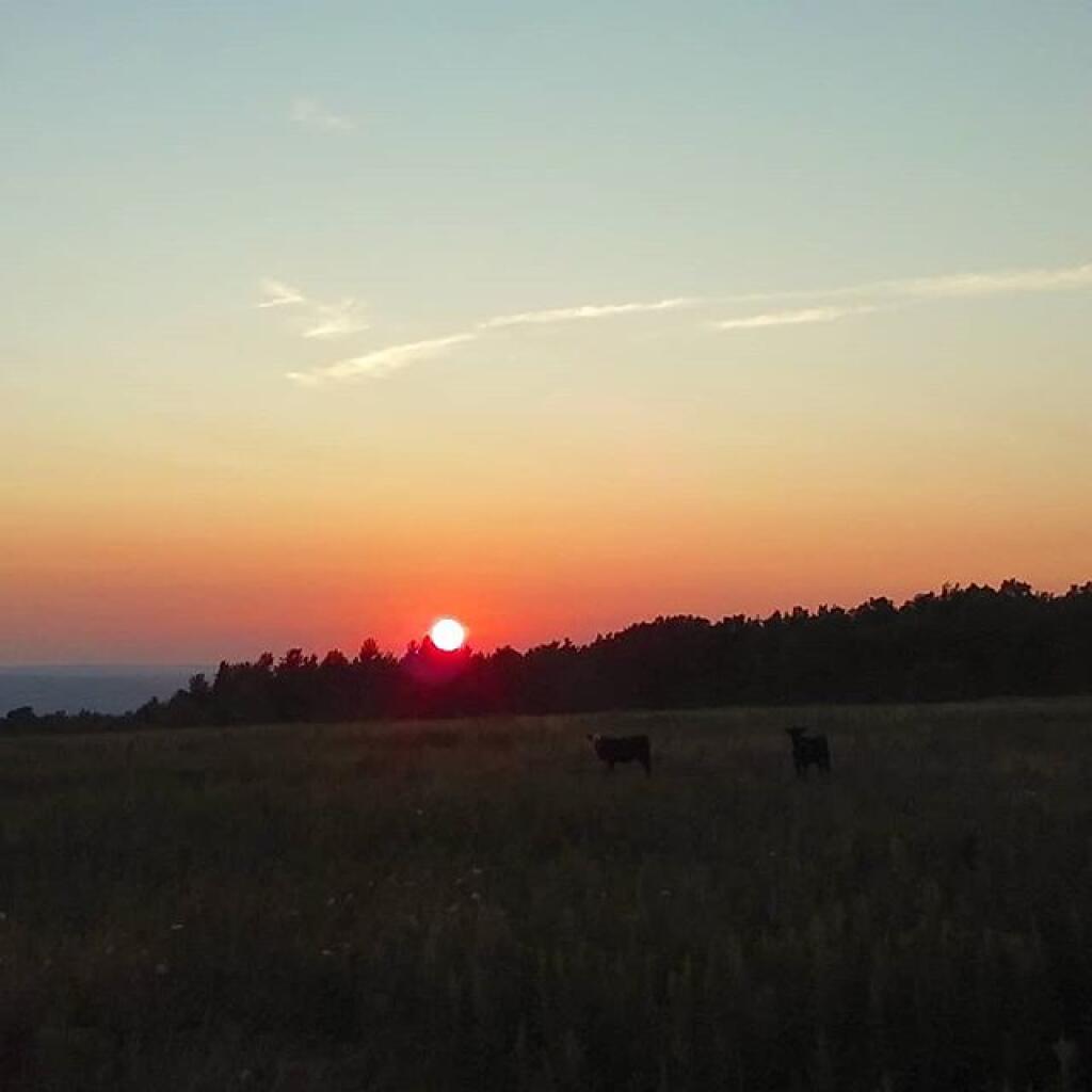 Photo: Beautiful sunset