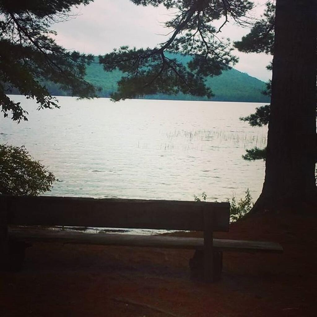 Photo: Designated viewing location