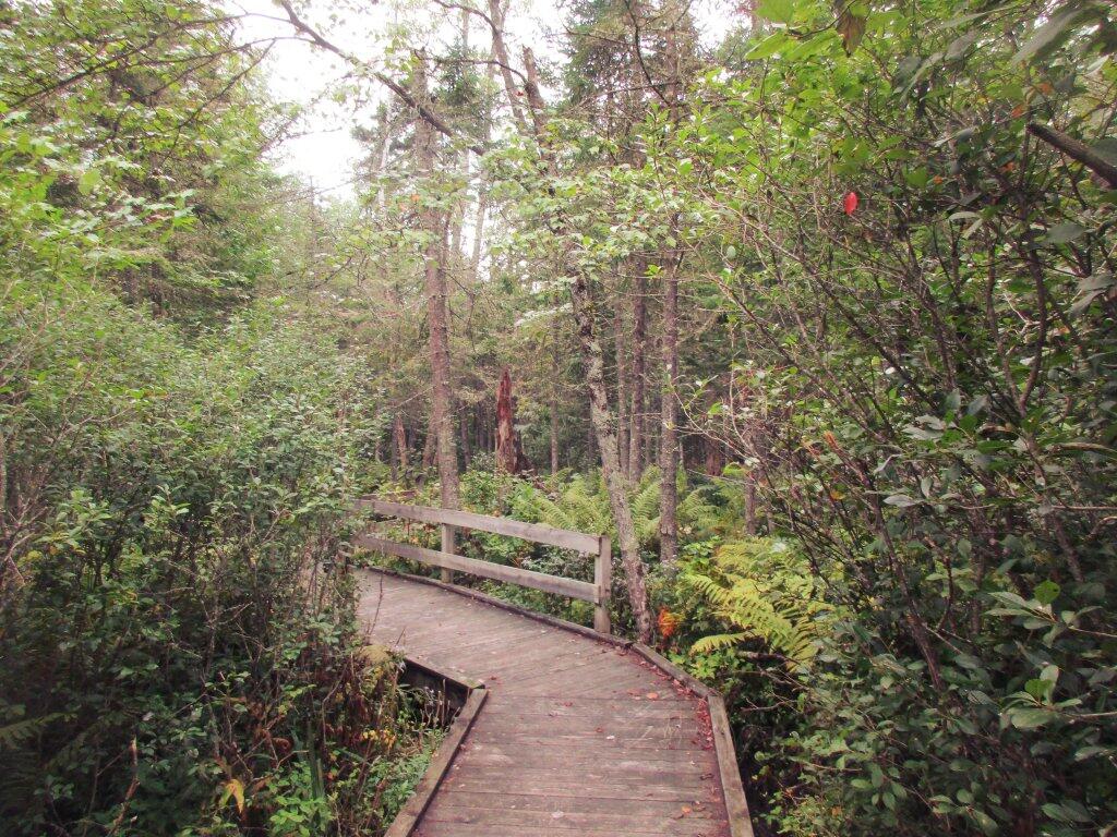 Photo: Spectulator River Walk