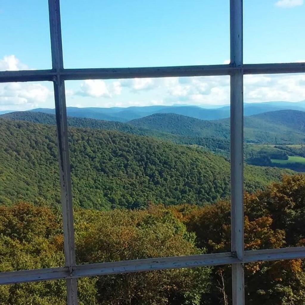 Photo: Window View