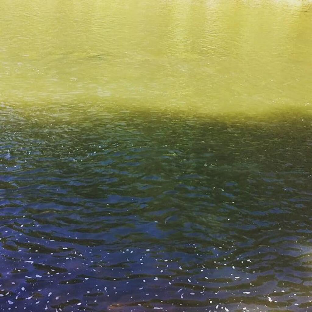 Photo: Lots of water in the Schoharie Creek