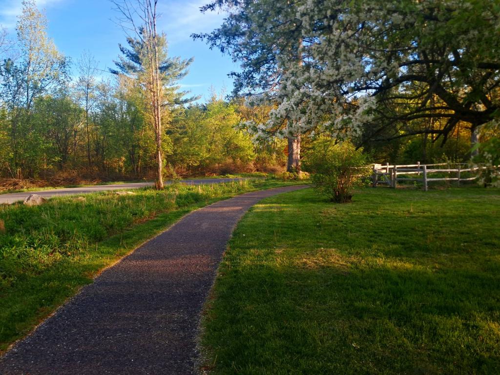 Photo: Path [Expires May 26 2026]