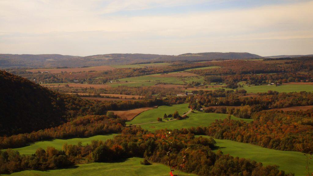 Photo: Jones Hill View