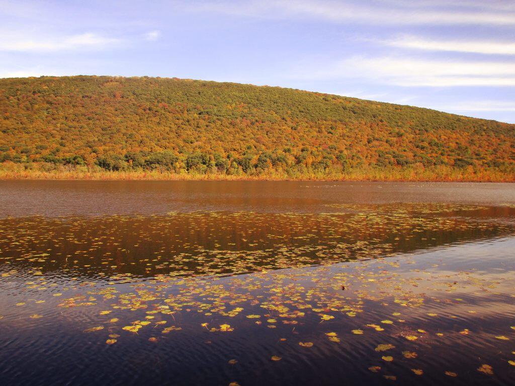 Photo: Labrador Pond And Jones Photo: Labrador Pond And Jones