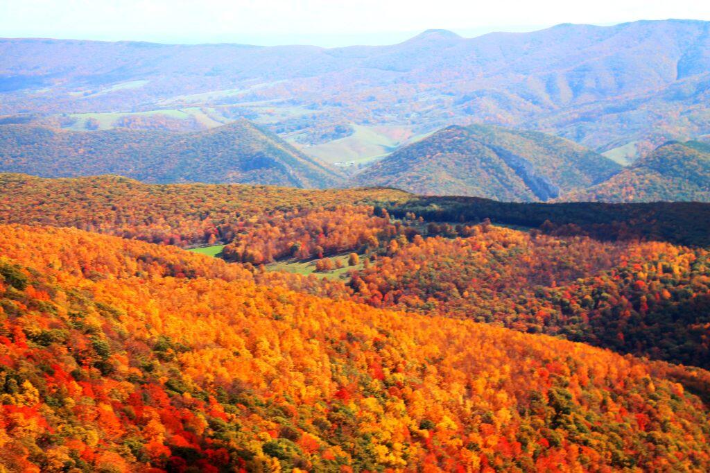 Photo: Colors Off Spruce Mountain