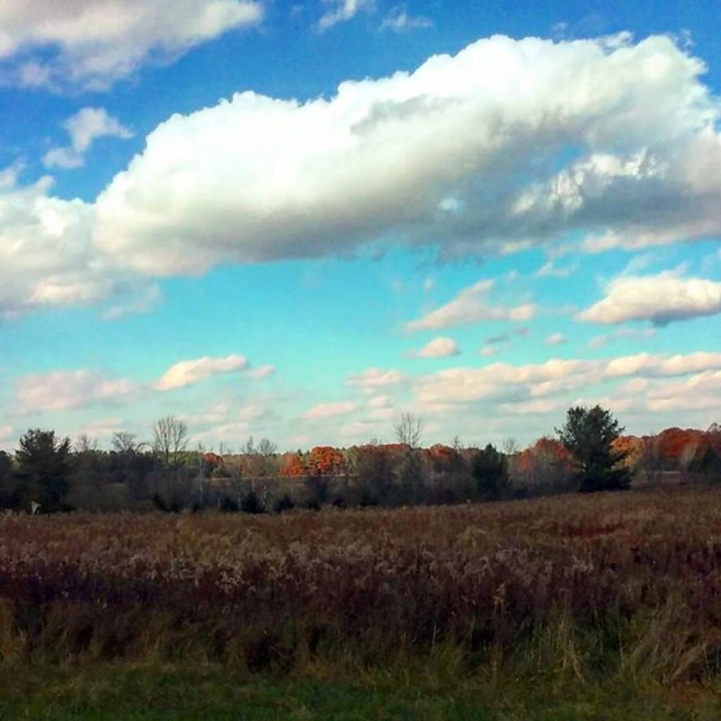 Photo: Blue skies are nice for a change