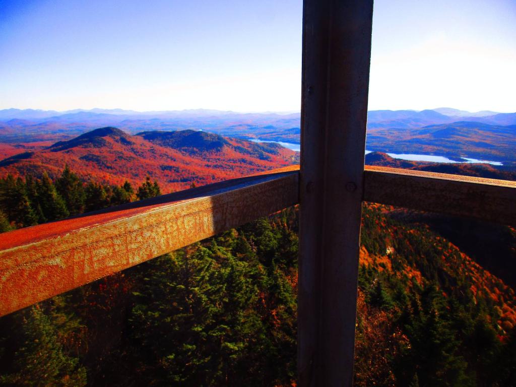 Photo: Lattice