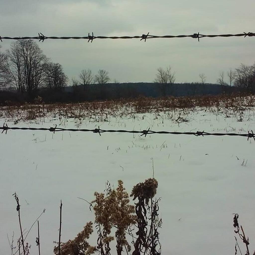 Photo: Barbed wire