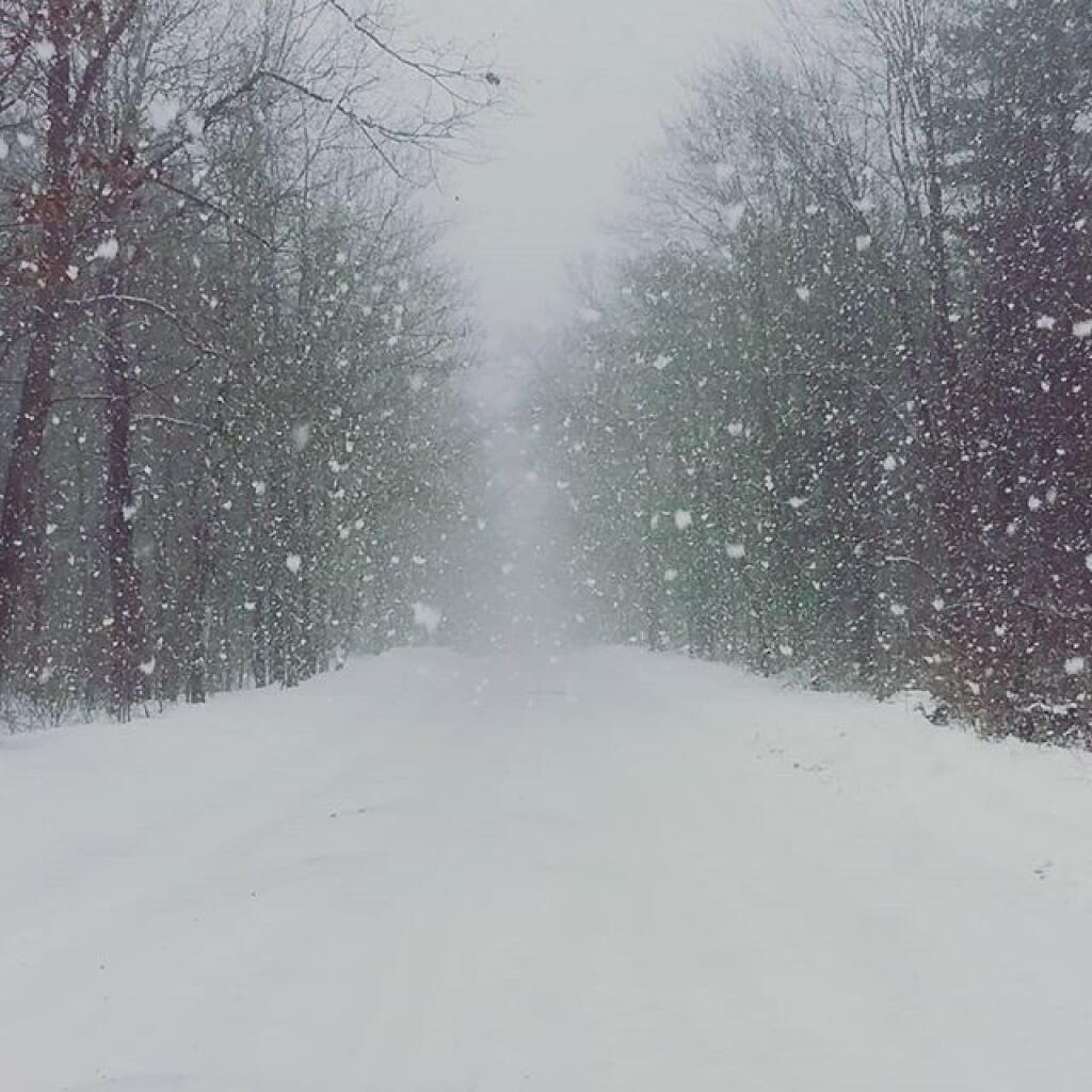 Photo: A winter wonderland