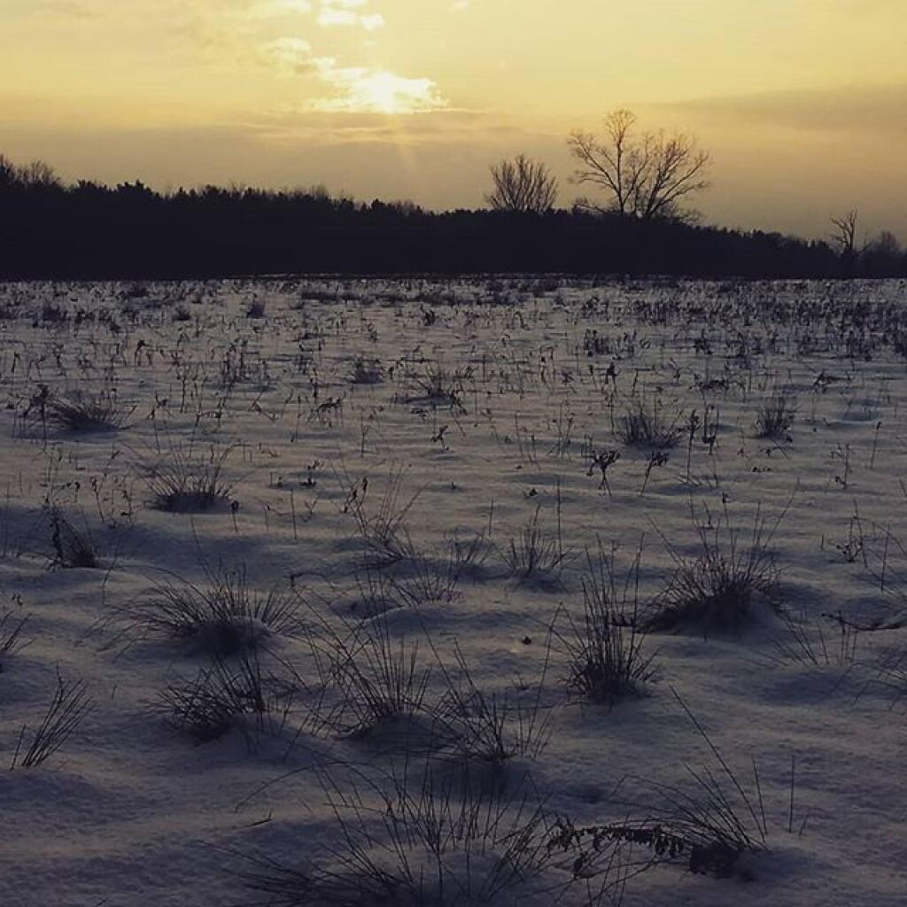 Photo: Before sunset