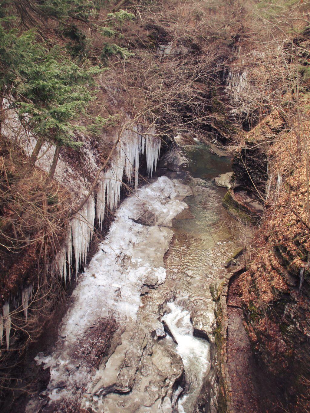 Photo: Frozen