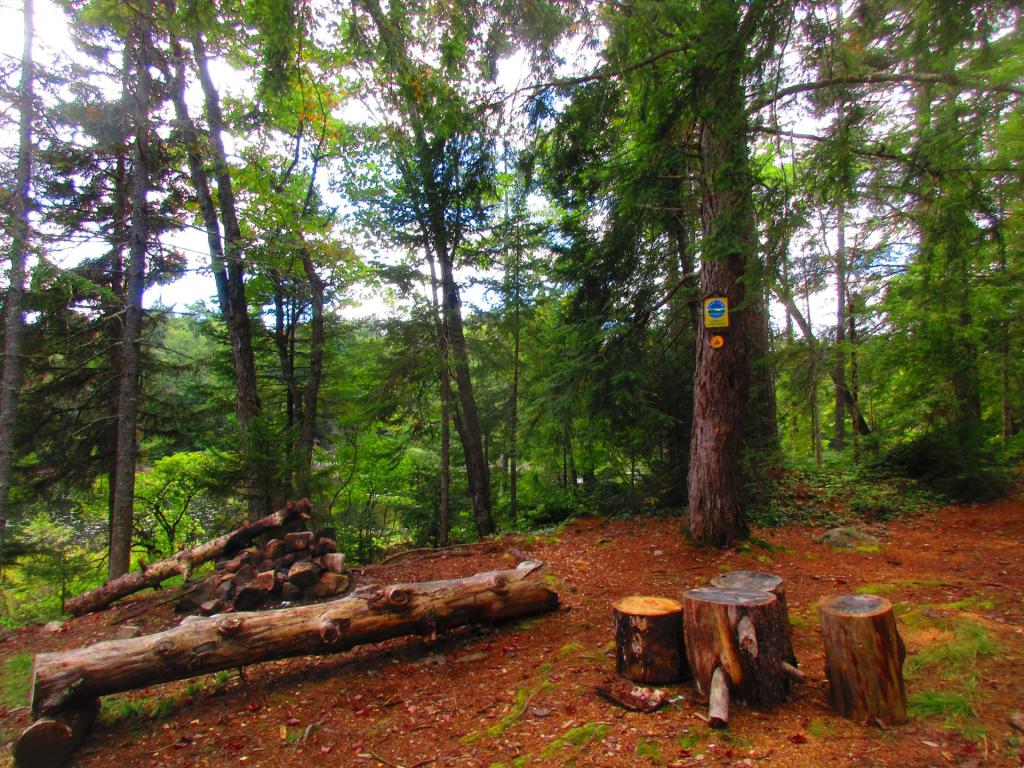 Photo: Campsite on Big Bay