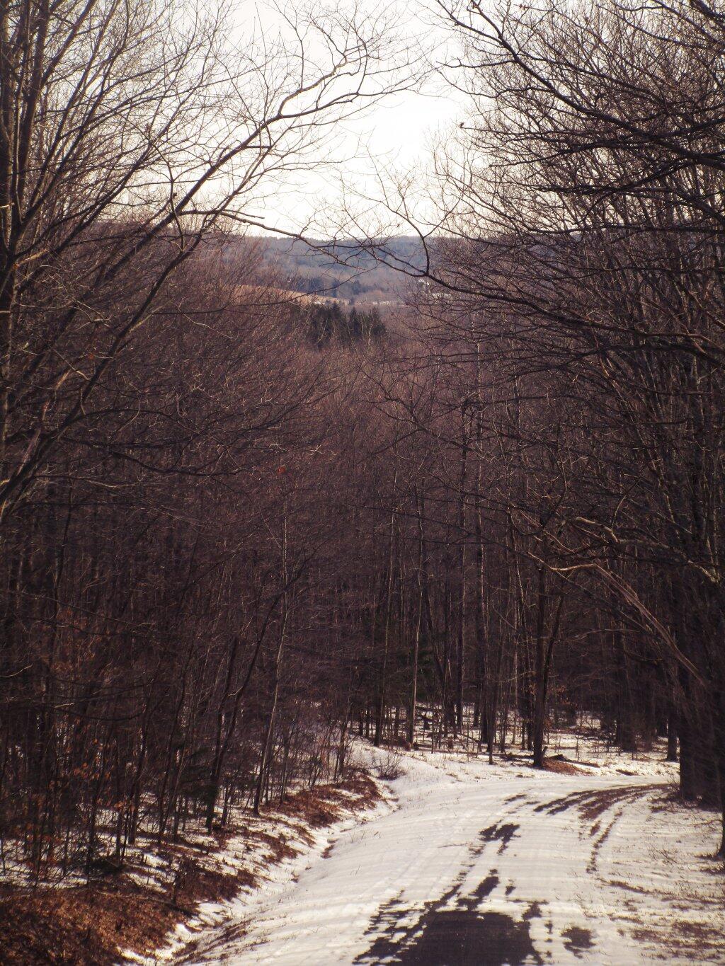 Photo: Down The Hill