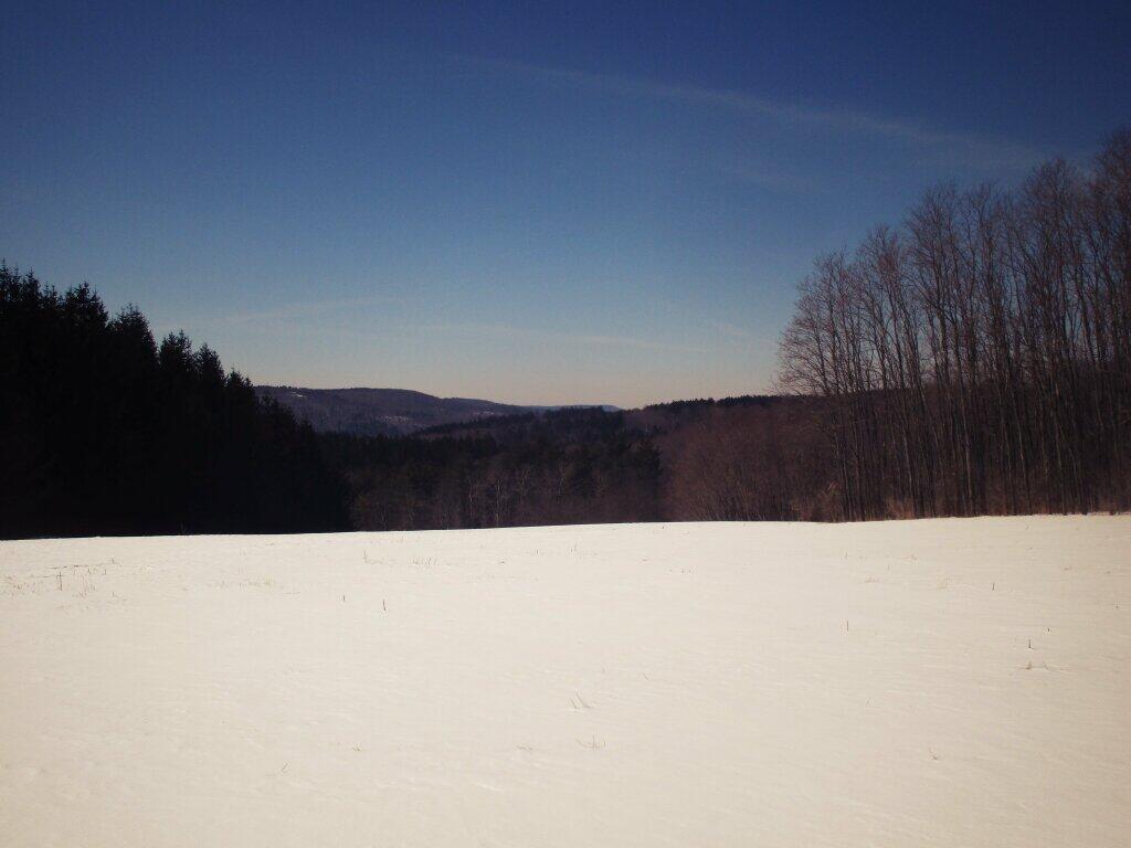 Photo: Bright And White
