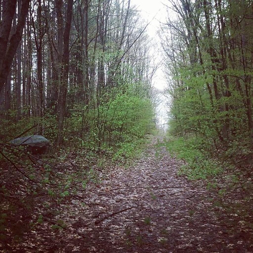Photo: Rainy day walk