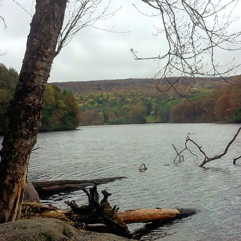 Photo: Rockwood Lake