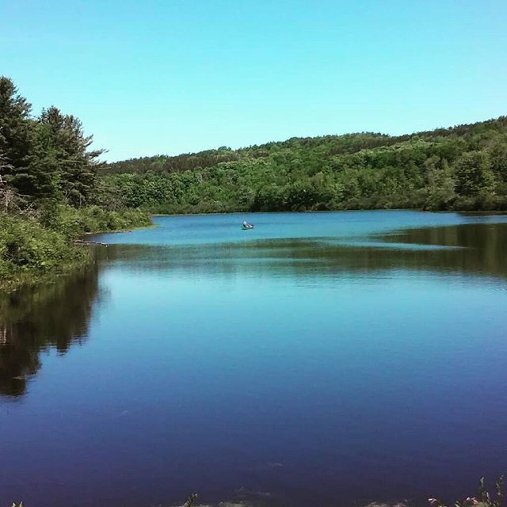 Photo: Tubbs Pond