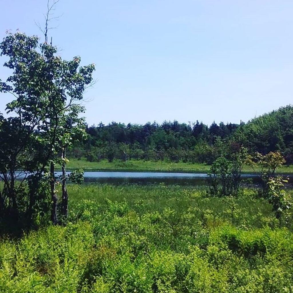 Photo: Sacandaga River