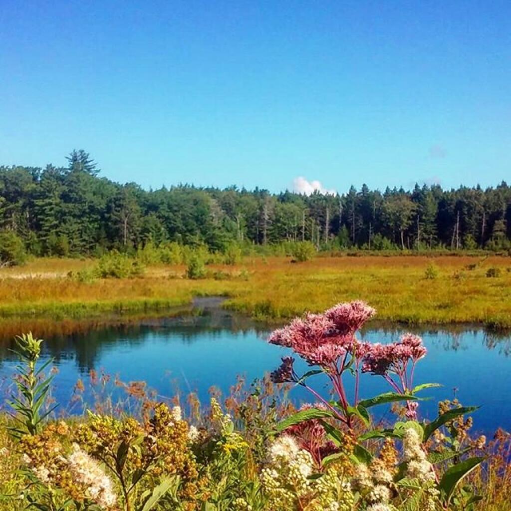 Photo: Stunningly beautiful autumn morning