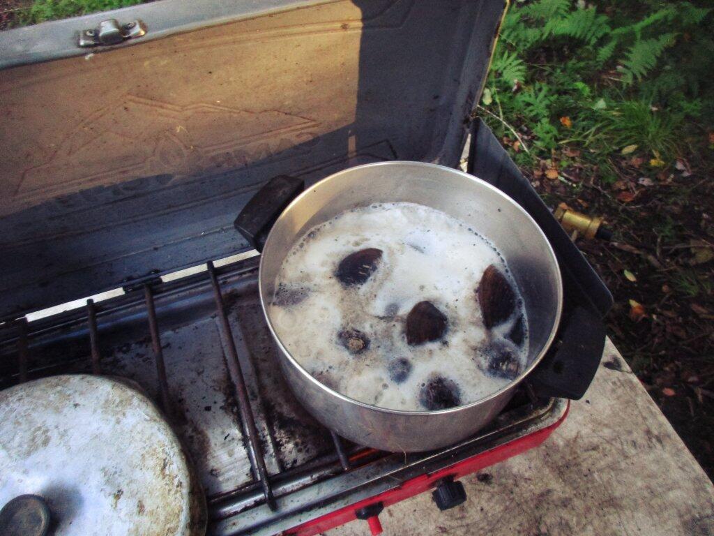 Photo: Cooking Clams