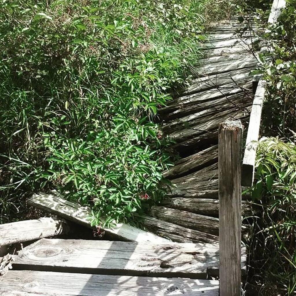Photo: Bridge has seen better days
