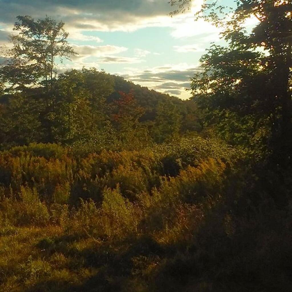 Photo: Before sunset