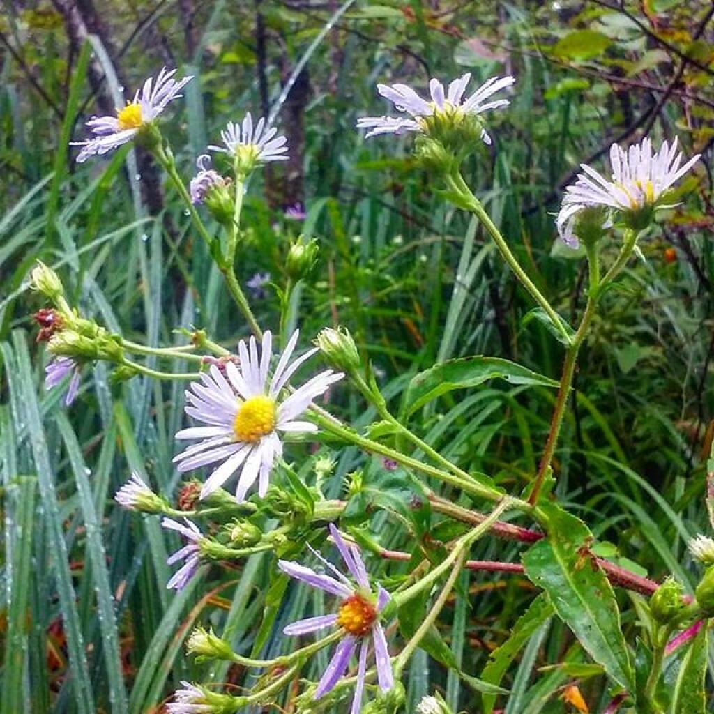 Photo: Color on a rainy day