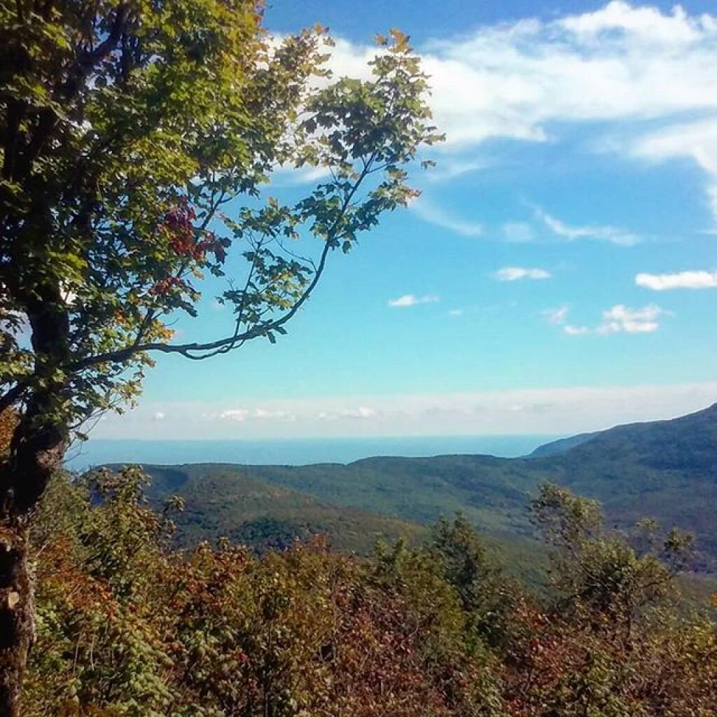 Photo: Ridge