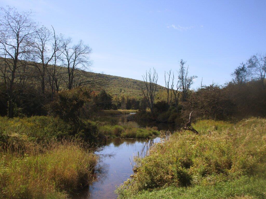 Photo: Headwaters Of The Batavia Kill