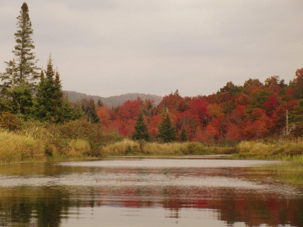 Photo: Quiet Waters
