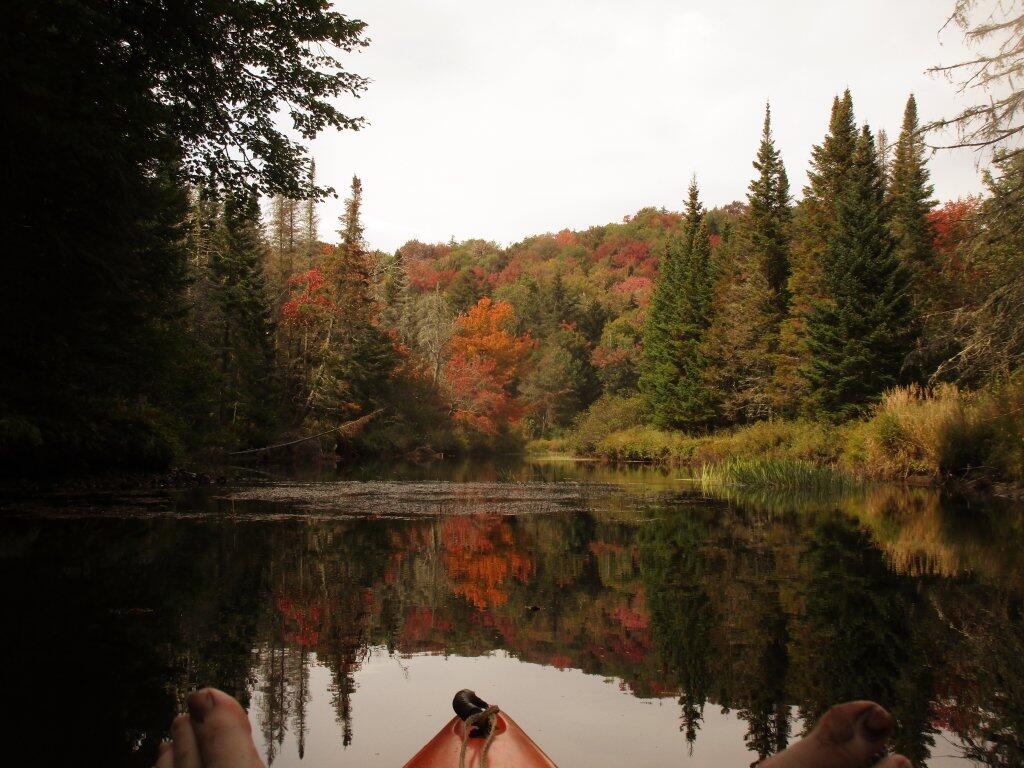 Photo: Toes