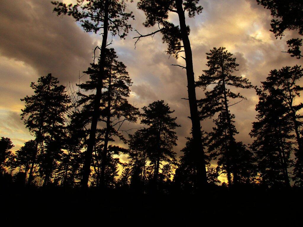 Photo: Almost Dusk