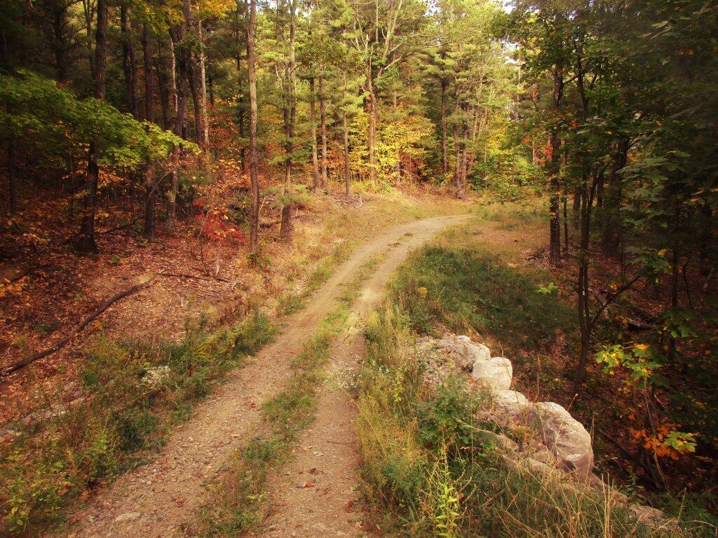 Photo: Improved Road For Controlled Burns Photo: Improved Road For Controlled Burns