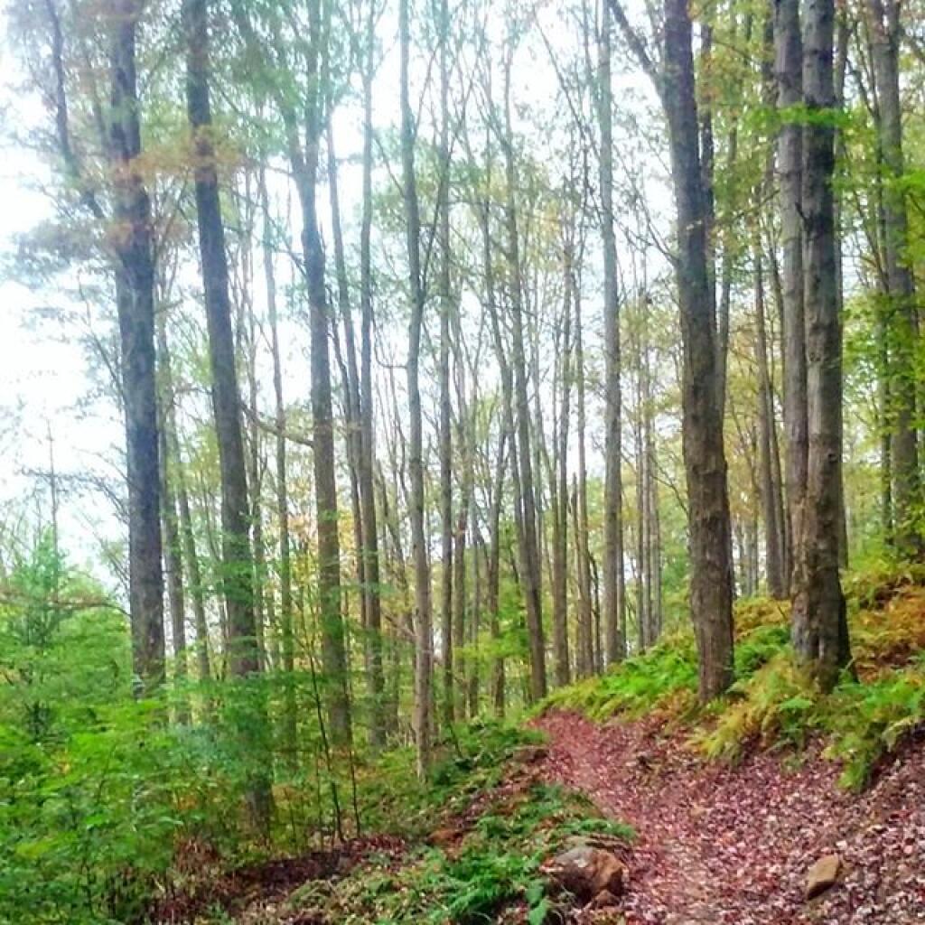 Photo: Elijah Run Bike Trail Photo: Elijah Run Bike Trail