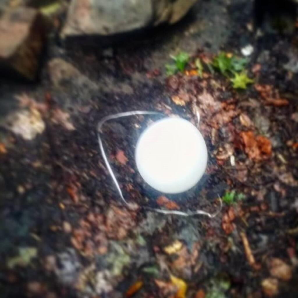 Photo: Litter that blew in Photo: Litter that blew in