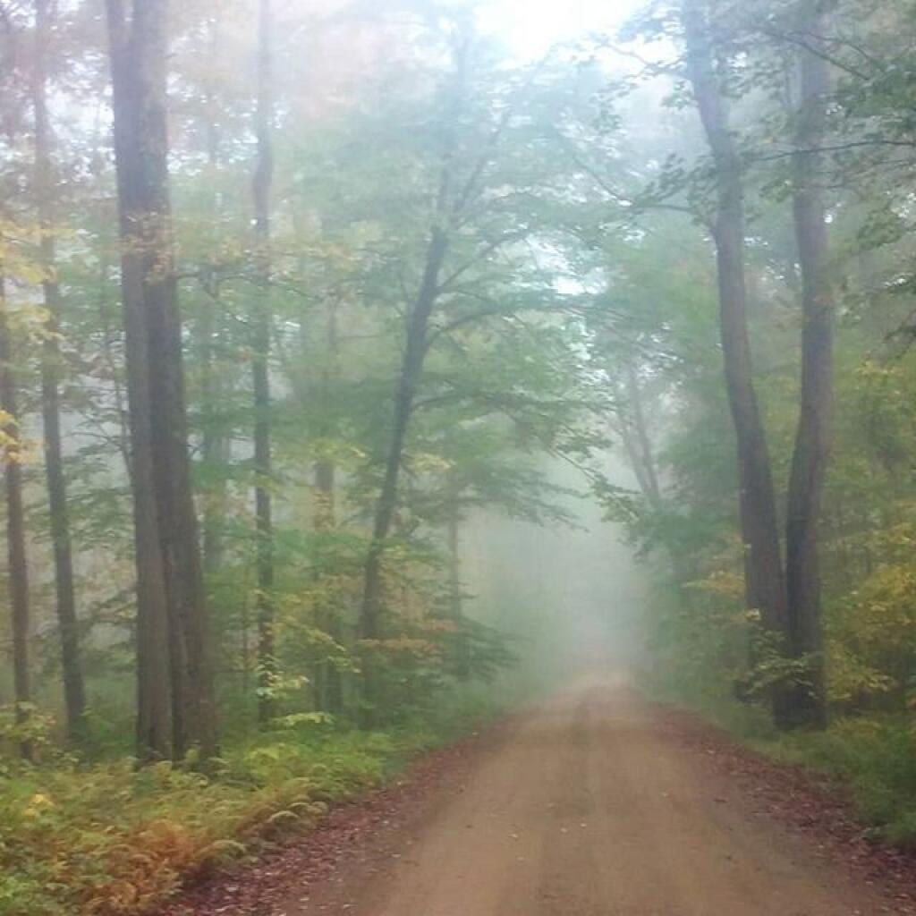 Photo: Foggy