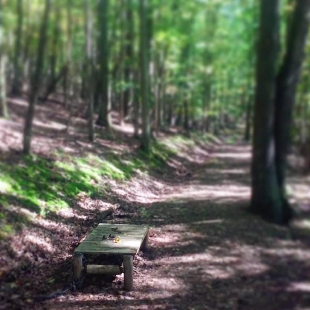Photo: Perfect little benches along the trail