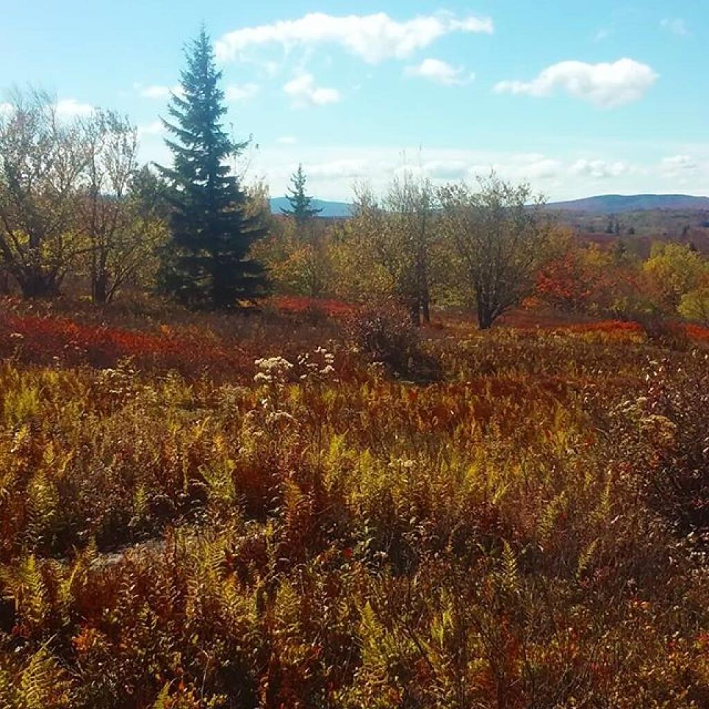 Photo: Such beautiful country