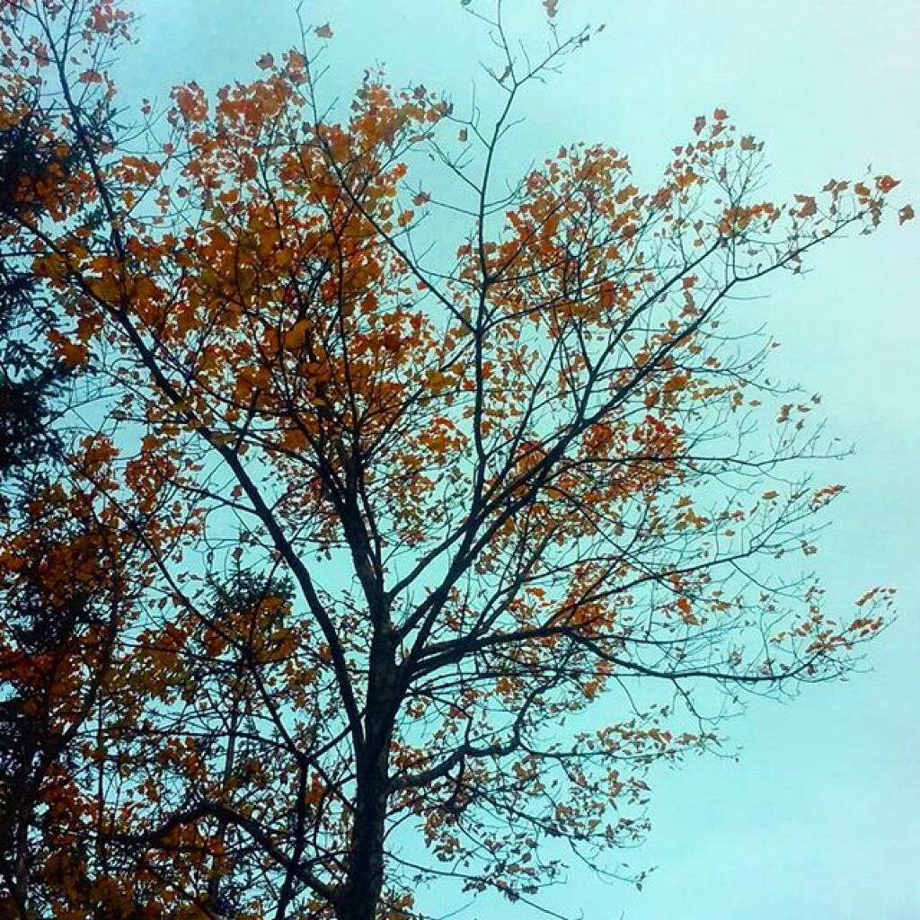 Photo: Drizzle this morning