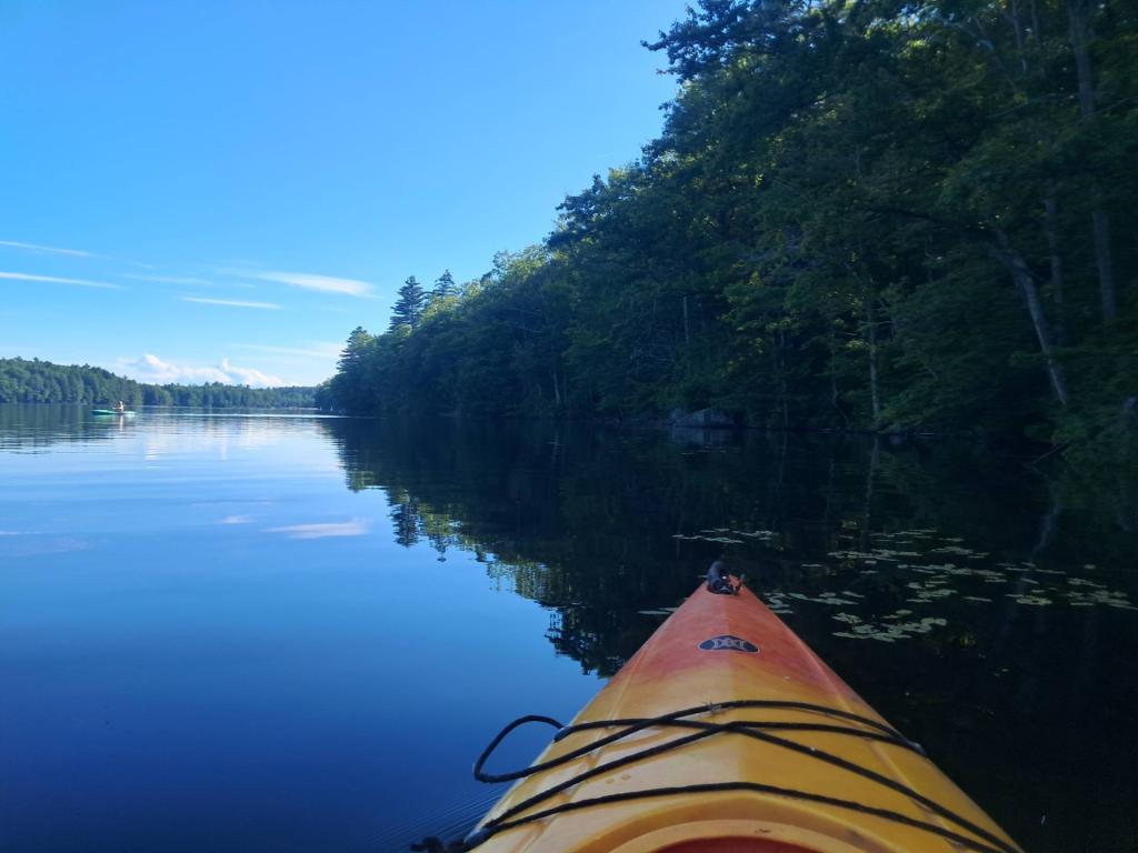 Photo: Along the shore [Expires July 11 2026]