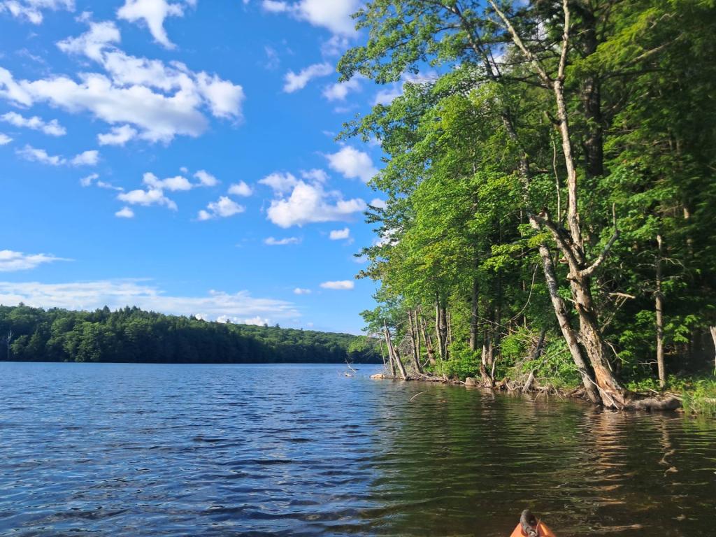 Photo: Shore [Expires July 11 2026]