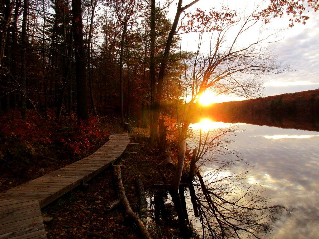 Photo: Boardwalk