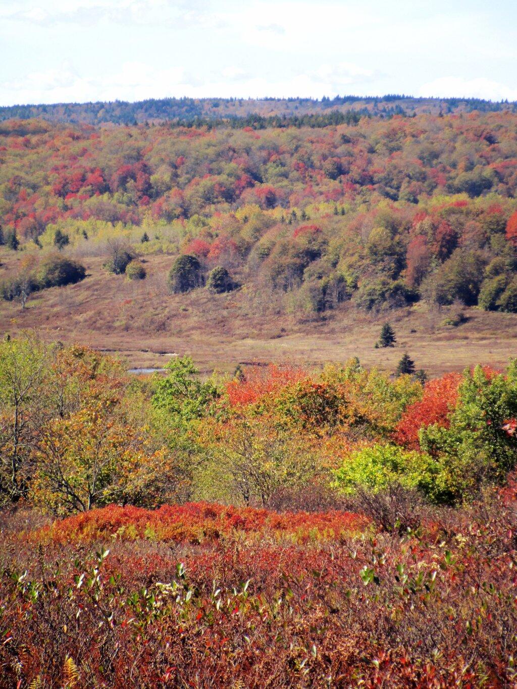 Photo: Red Creek Valley