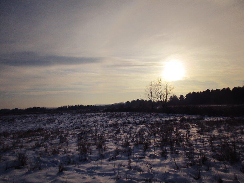 Photo: Winters Afternoon
