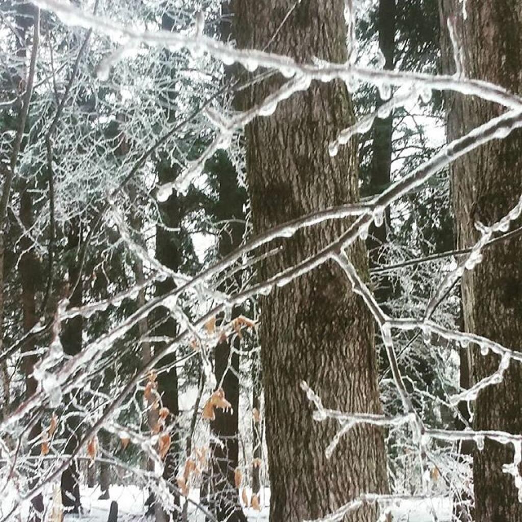 Photo: Ice