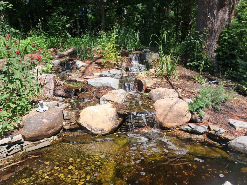 Photo: Waterfall [Expires July 26 2026]