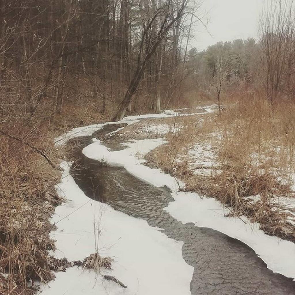 Photo: Creek